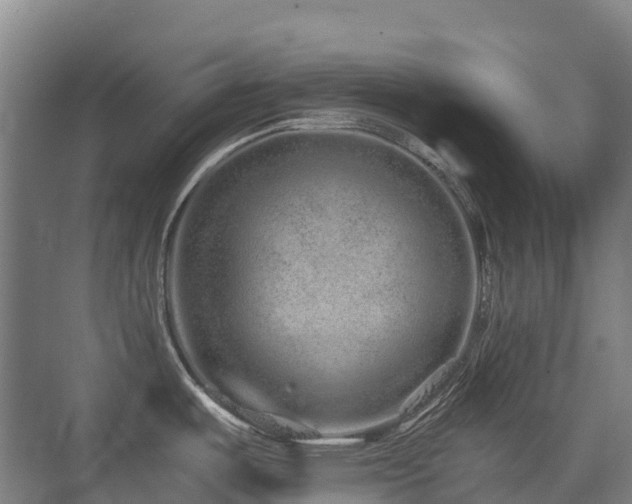 X0000076071487200609221143