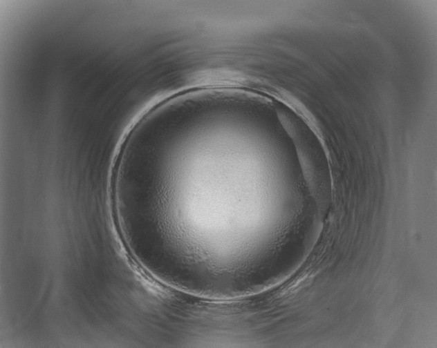 X0000076071488200609221143