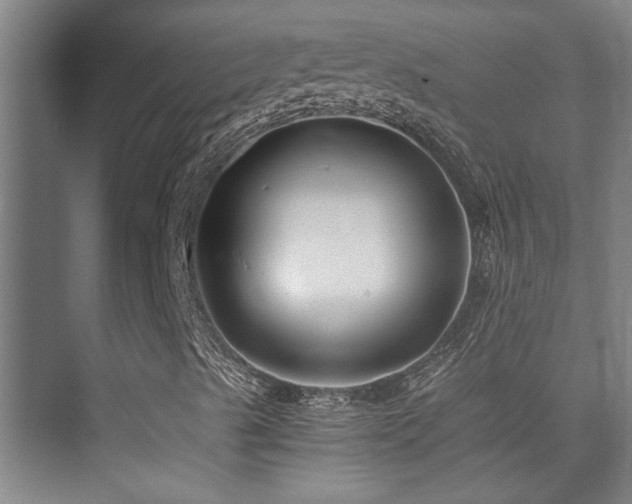 X0000076071489200609221142