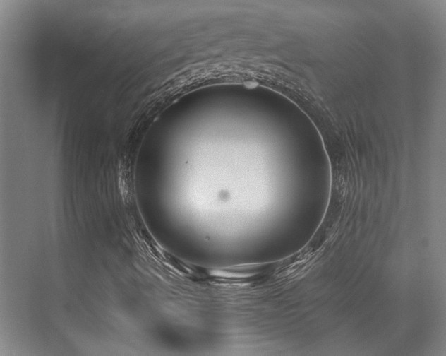 X0000076071490200609221142