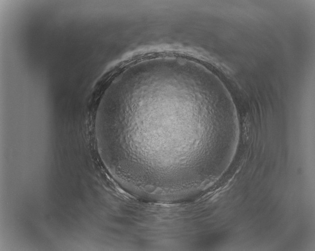 X0000076071494200609221143