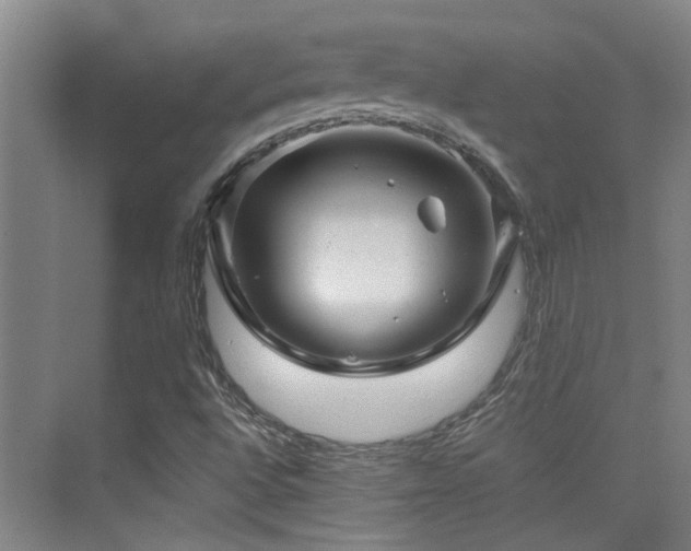 X0000076071496200609221143