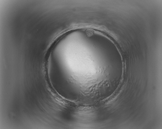 X0000076071501200609221143