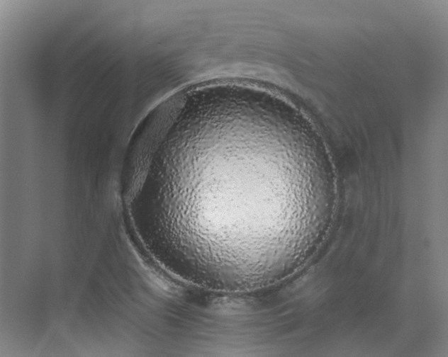 X0000076071505200609221143