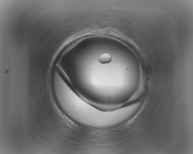 X0000076071506200609221143