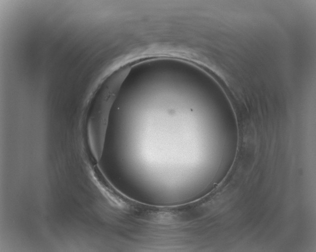 X0000076071507200609221143