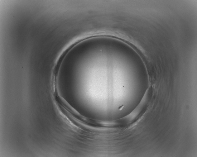 X0000076071510200609221143