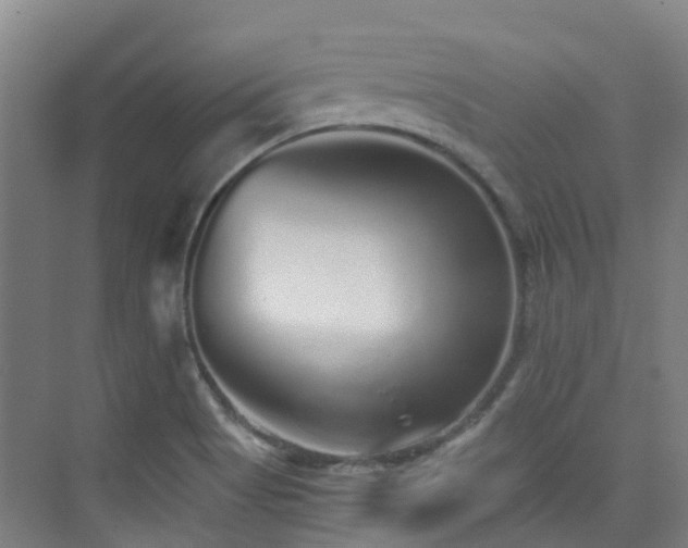 X0000076071513200609221143