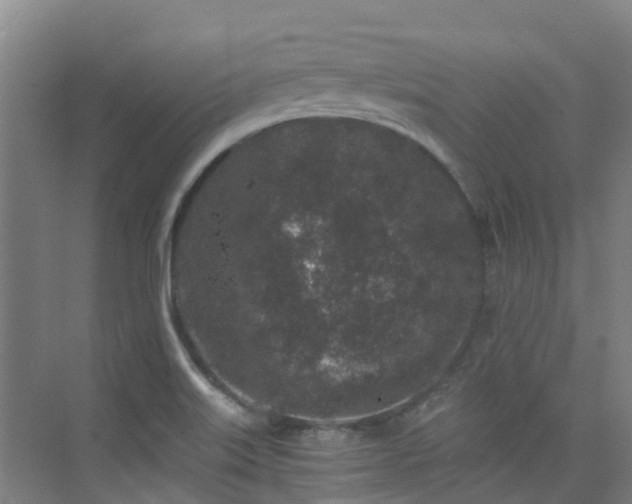 X0000076071515200609221143