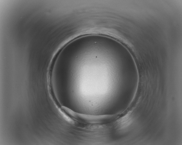 X0000076071517200609221143