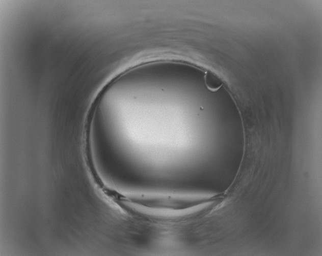 X0000076071518200609221143