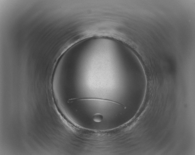 X0000076071521200609221143