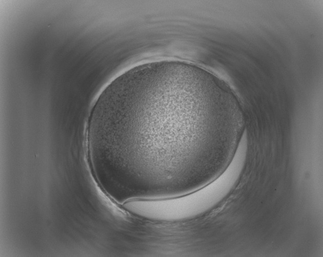 X0000076071524200609221143