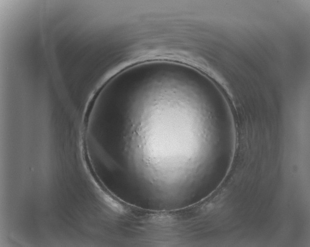 X0000076071525200609221143