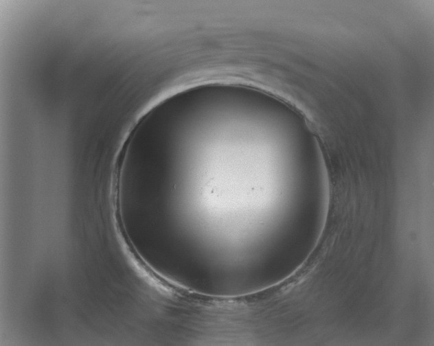 X0000076071526200609221143