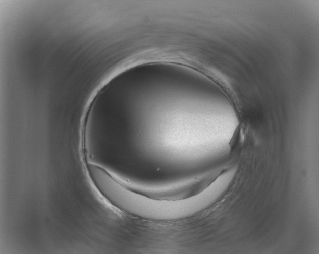 X0000076071528200609221143