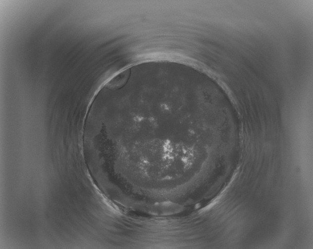 X0000076071529200609221143