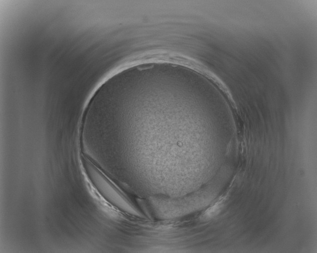 X0000076071530200609221143