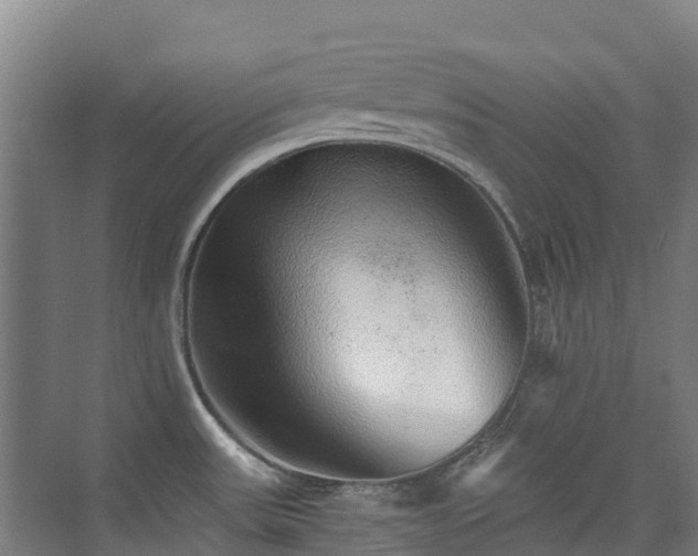 X0000076071531200609221143