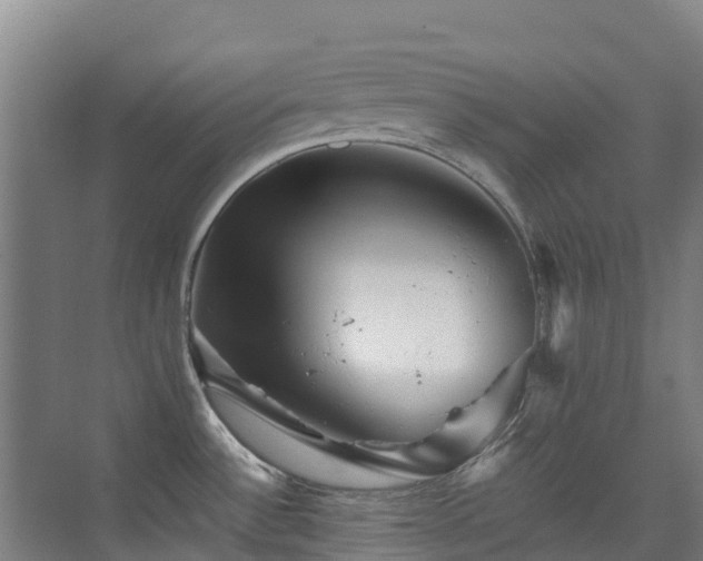 X0000076071532200609221143