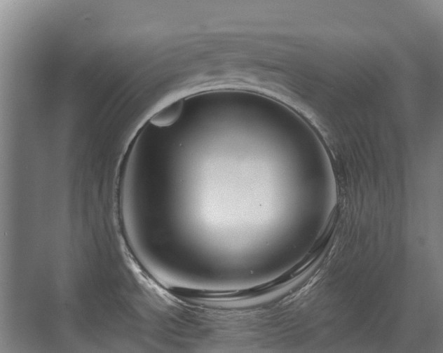 X0000076071534200609221143