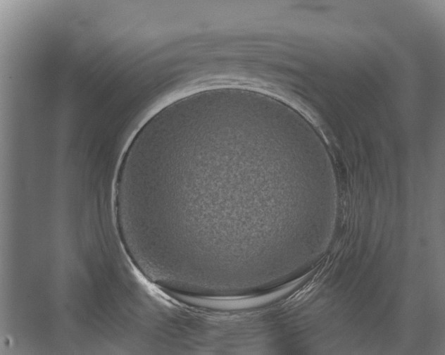 X0000076071535200609221143