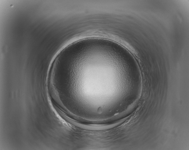 X0000076071536200609221143