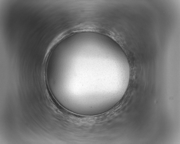 X0000076070004200609291329