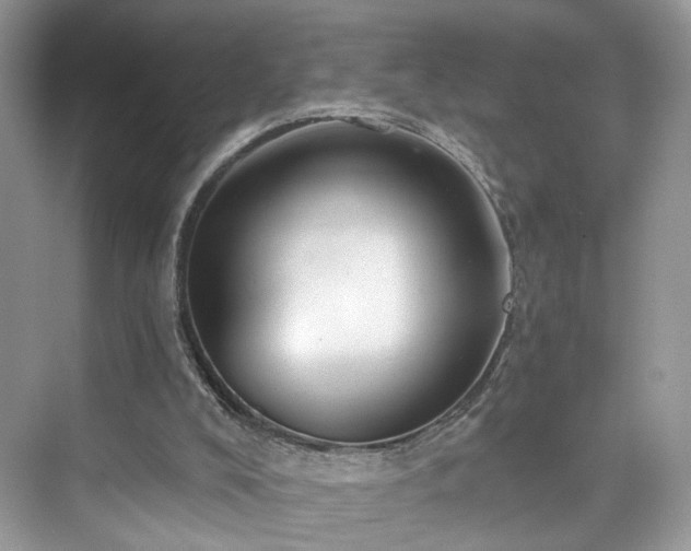 X0000076070008200609291329
