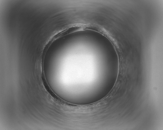 X0000076070011200609291329