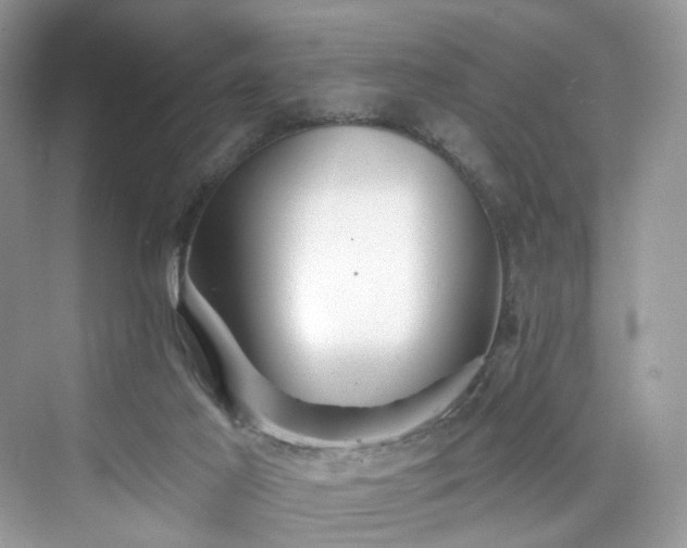 X0000076070021200609291329