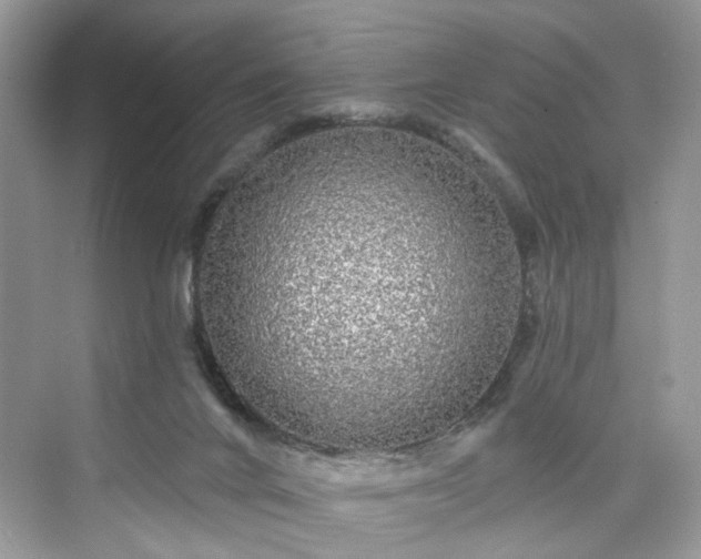 X0000076070024200609291328