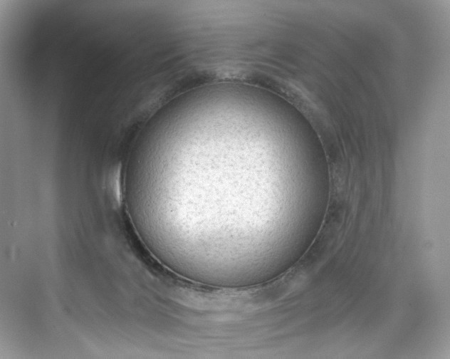 X0000076070028200609291328