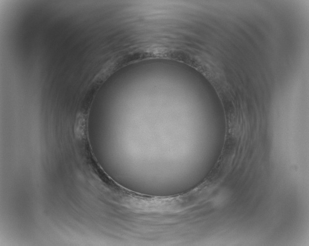X0000076070036200609291328