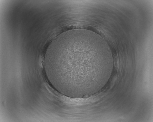 X0000076070038200609291328