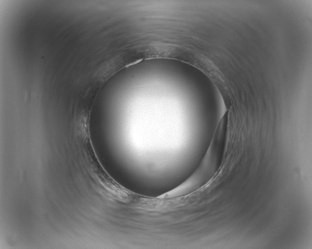 X0000076070045200609291328