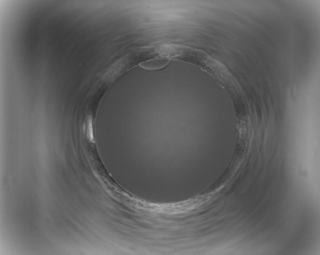 X0000076070046200609291328