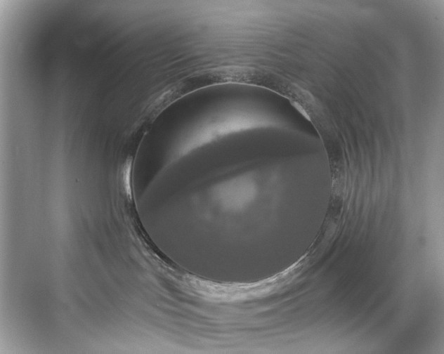 X0000076070047200609291328