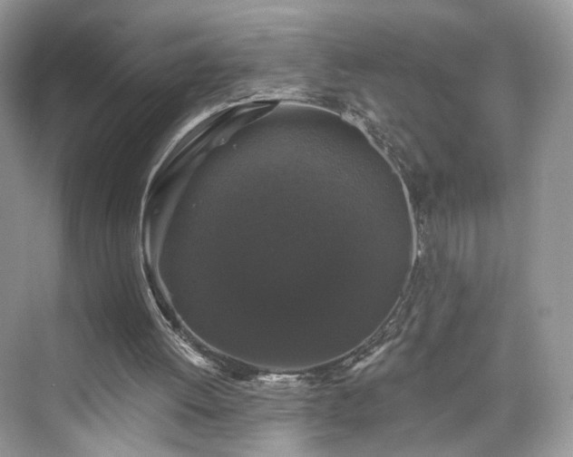 X0000076070052200609291327