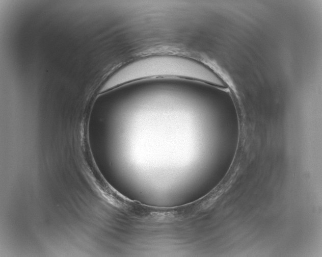 X0000076070057200609291327