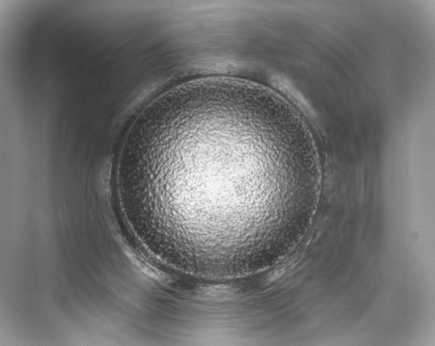 X0000076070058200609291327