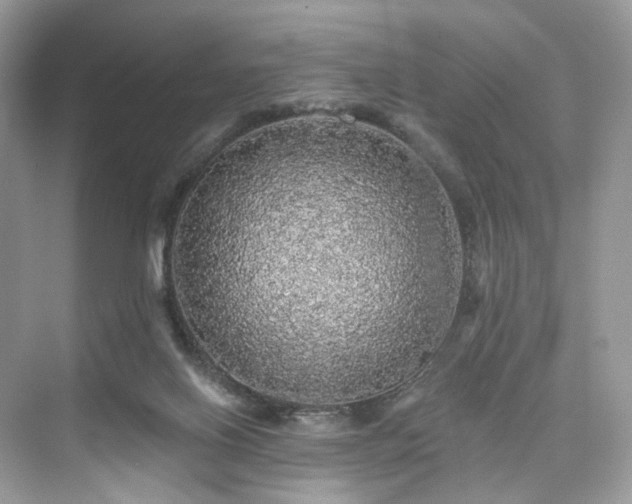 X0000076070070200609291328