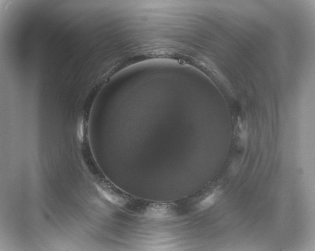 X0000076070076200609291328