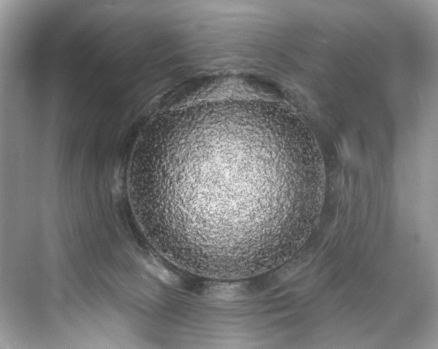 X0000076070081200609291328