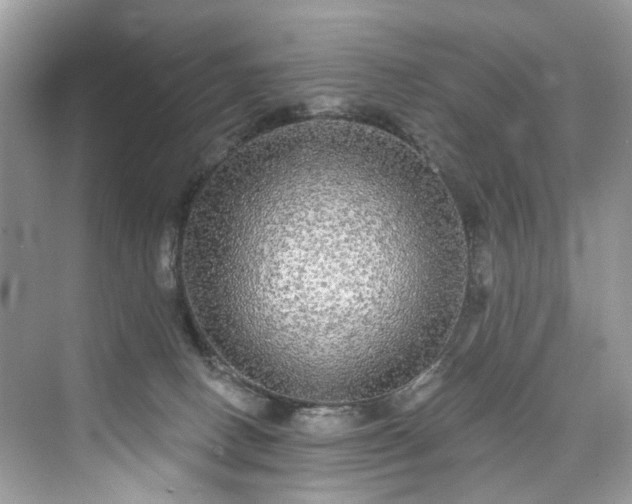 X0000076070082200609291328