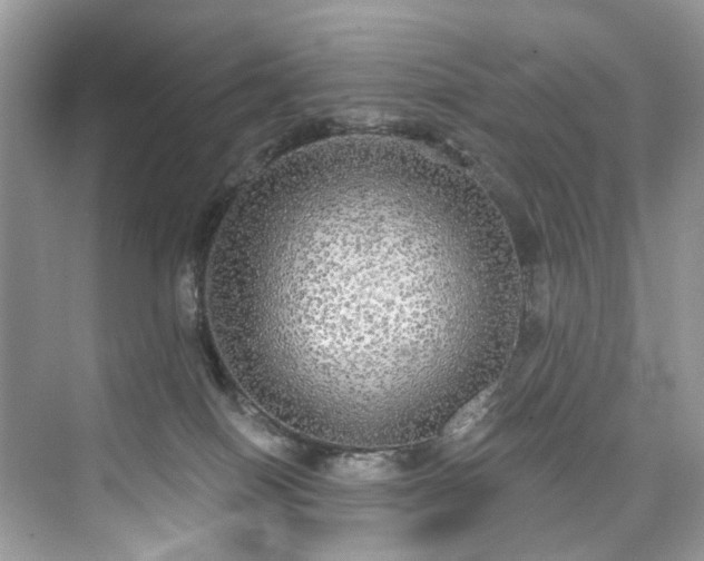 X0000076070086200609291328