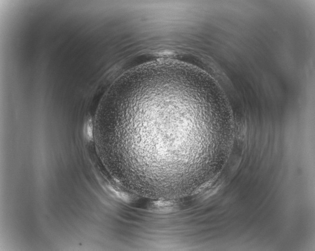 X0000076070095200609291328