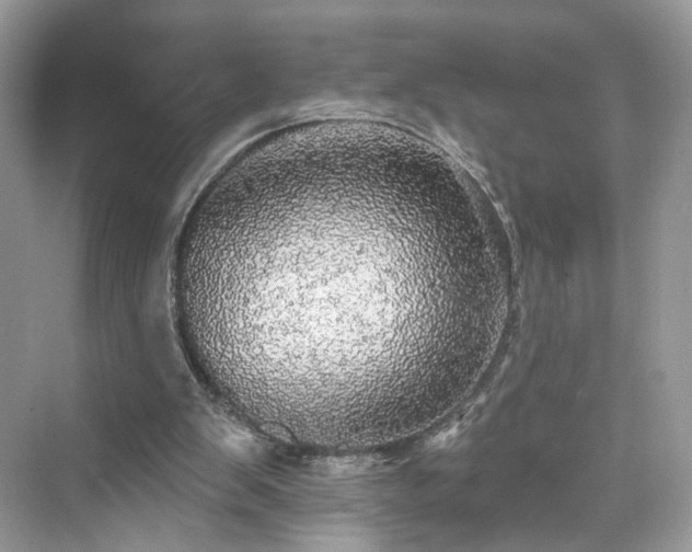 X0000076070103200609291327