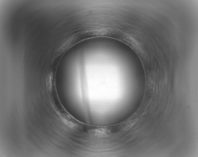 X0000076070118200609291327
