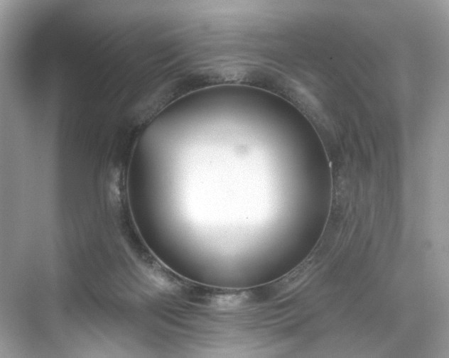 X0000076070122200609291327